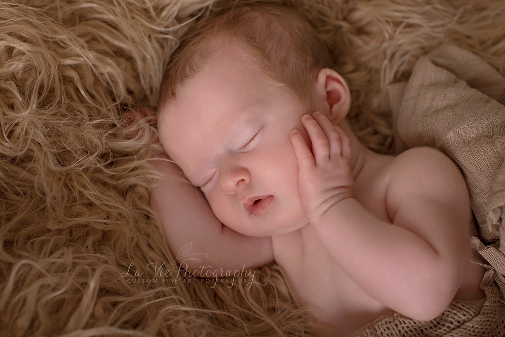 Newborn Twin Portraits-Pearland, Tx La Vie Photography