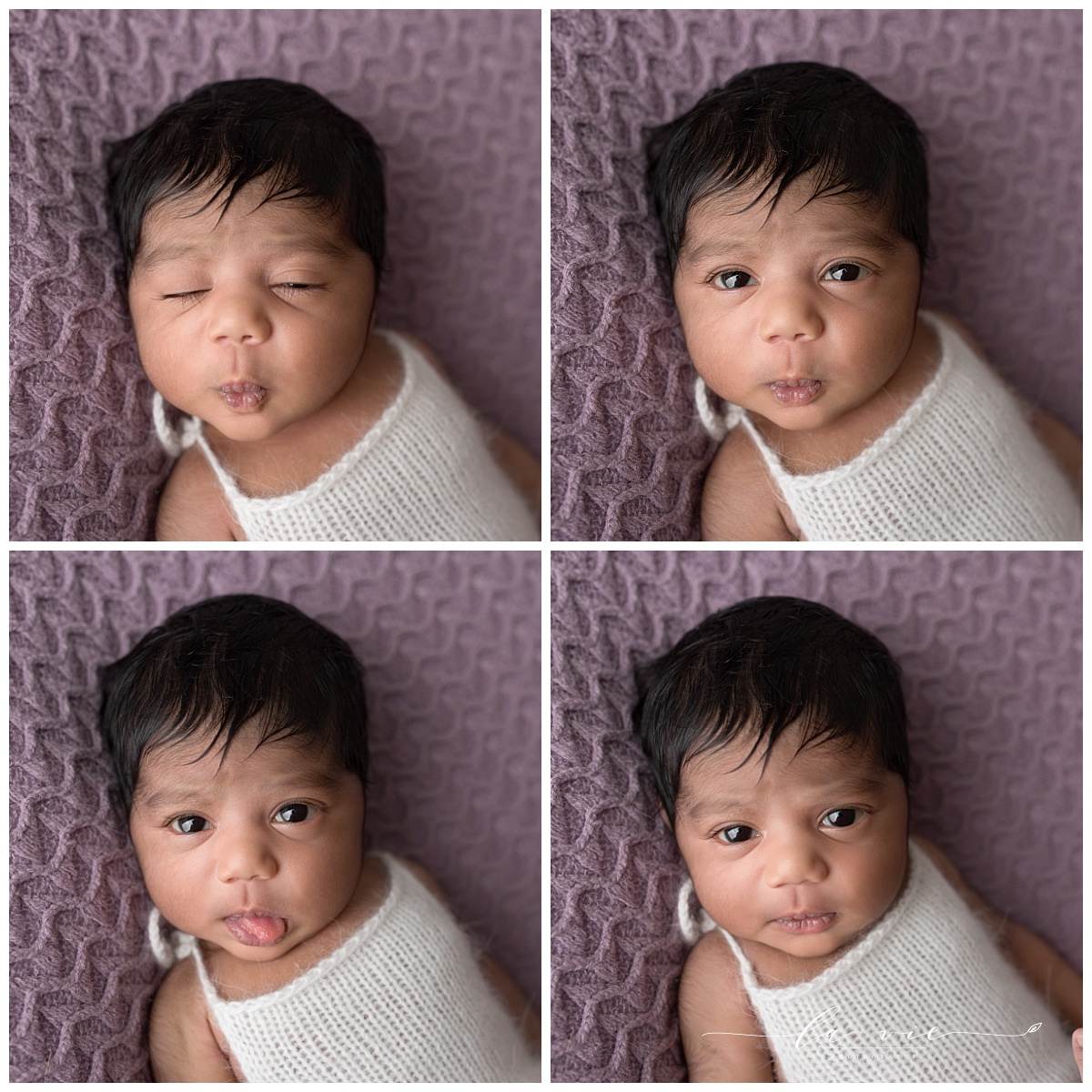Four image collage of silly newborn faces